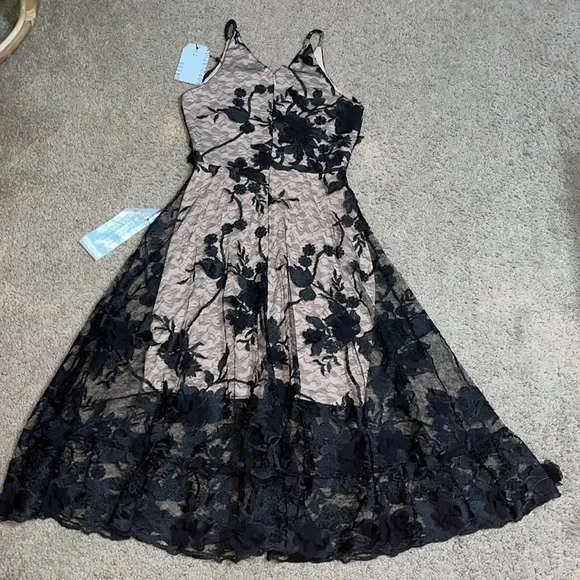 Dress the Population Audrey‎ Sheer Floral Overlay A-Line Sleeveless V-Neck XS